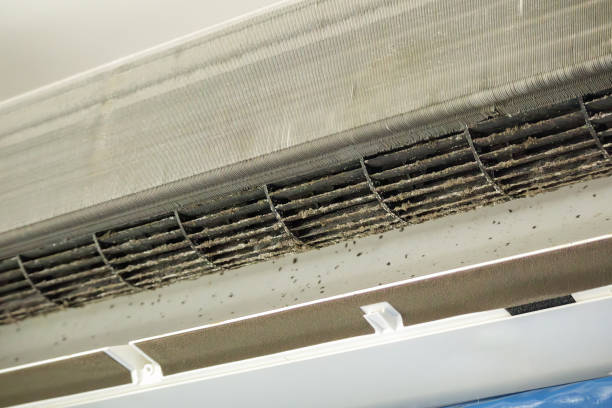 Trusted Miami Gardens, FL Airduct Cleaning Experts